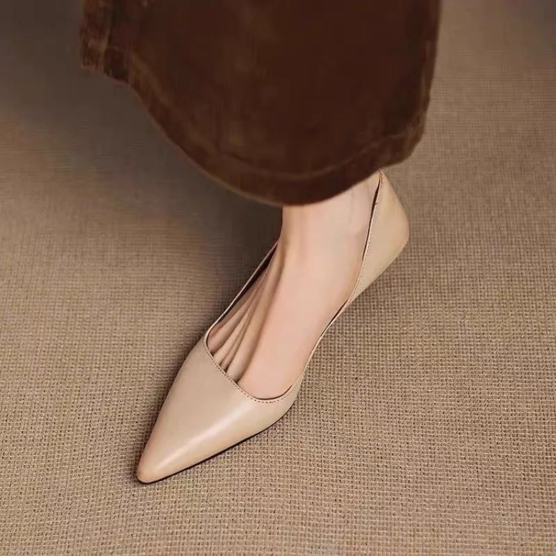 Dames puntschoen stiletto hakk - Women Fashion Store recensie en prijs